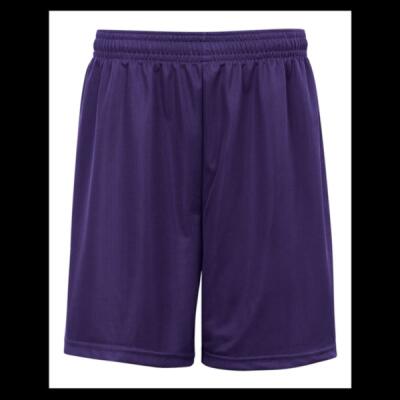 Men's Mini Mesh 9'' Inseam Shorts Thumbnail
